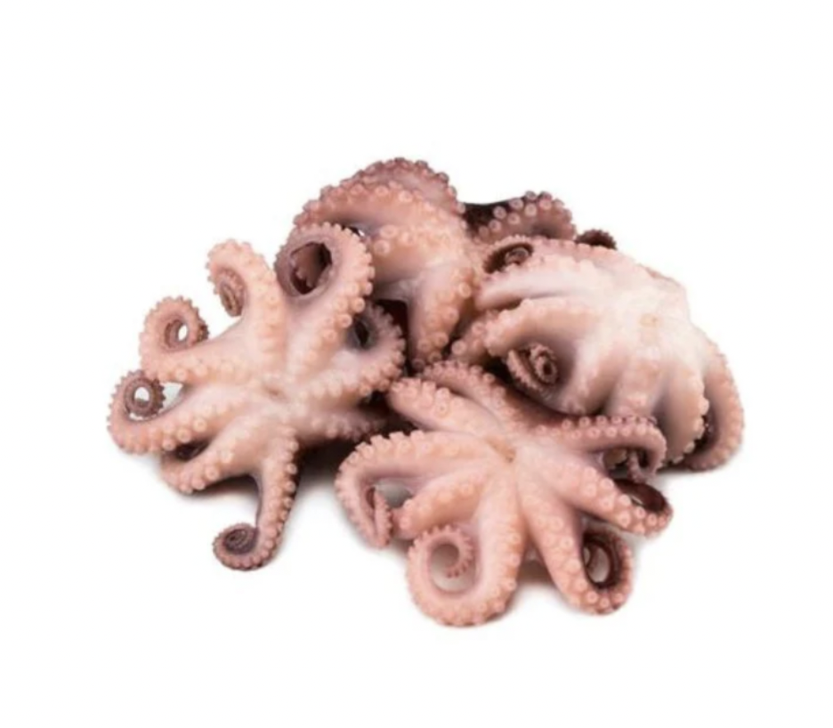 Pulpo Baby