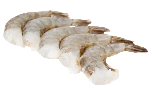 Camaron 26/30