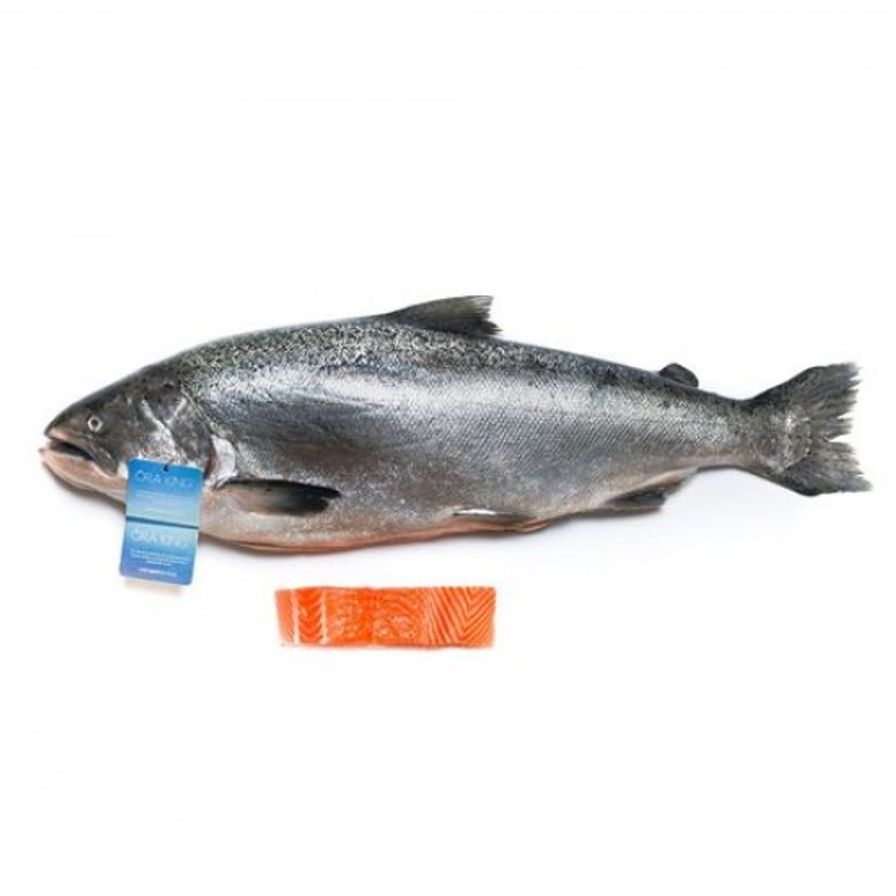 Salmón ORA KING entero