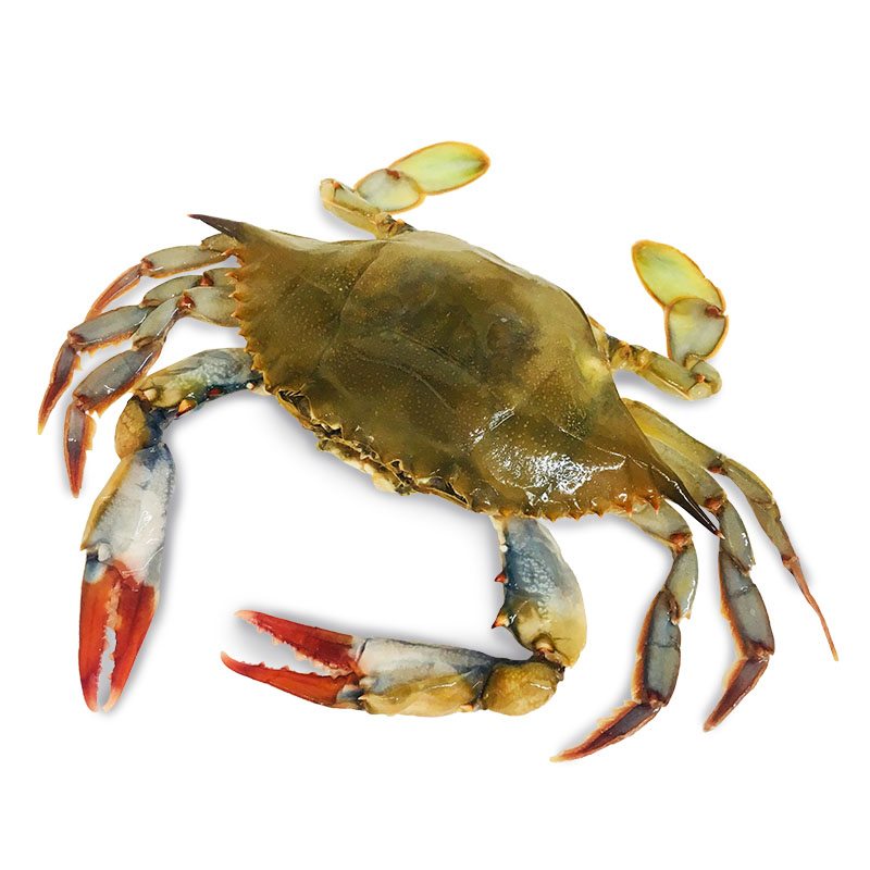 Jaiba concha suave (soft shell)
